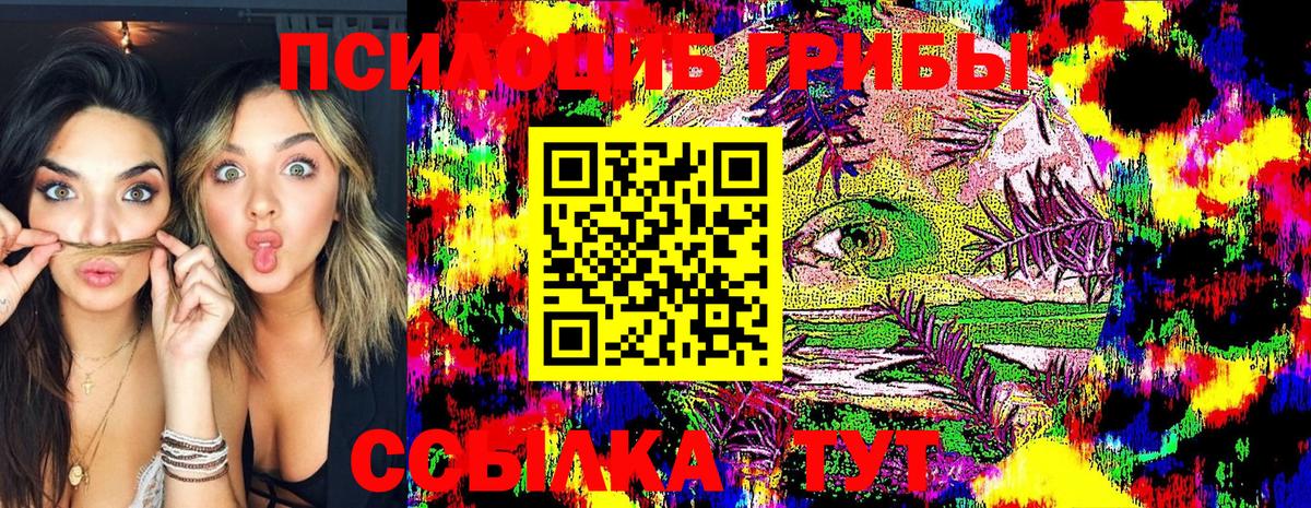 Сатка  Псилоцибиновые грибы Psilocybine cubensis  Вход с VPN 